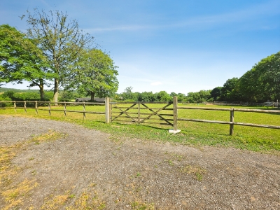 Picture 36
